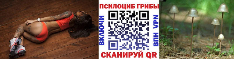 купить  цена  Долинск  Галлюциногенные грибы GOLDEN TEACHER 